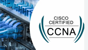 ccna 자격증