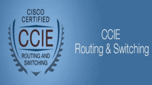 CCIE 자격증